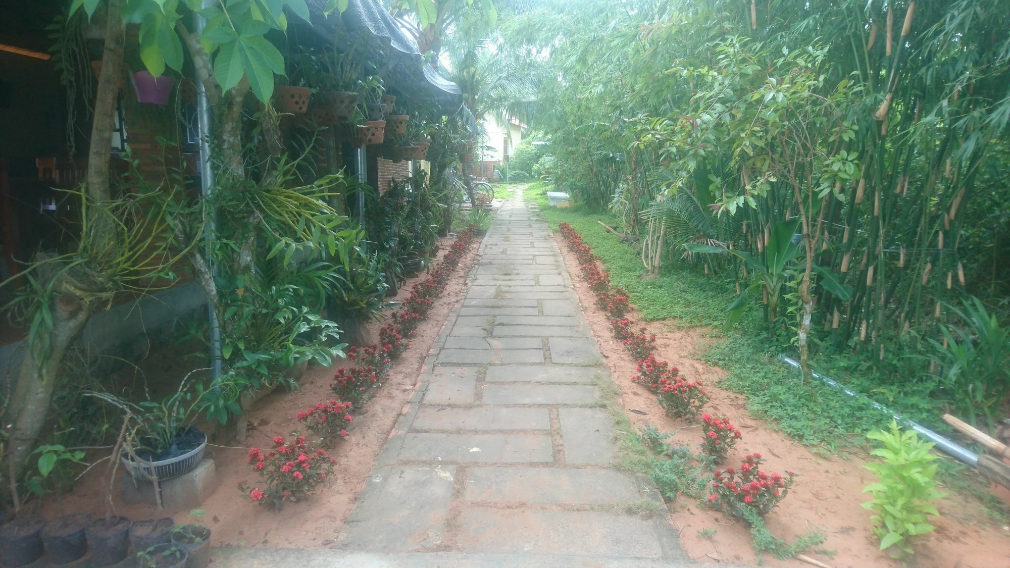 水果农场山林小屋 富国 外观 照片